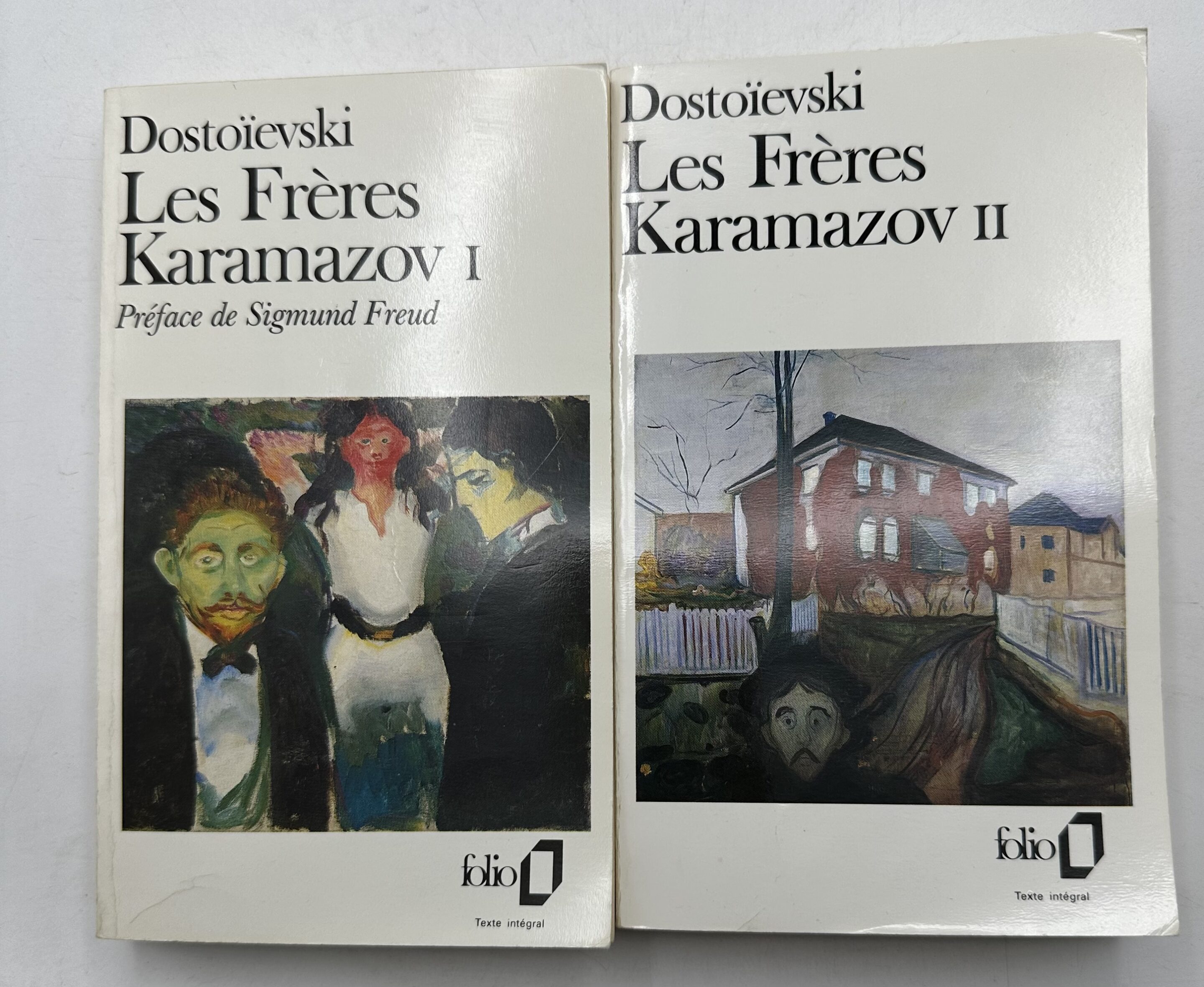 Livre les freres promo karamazov